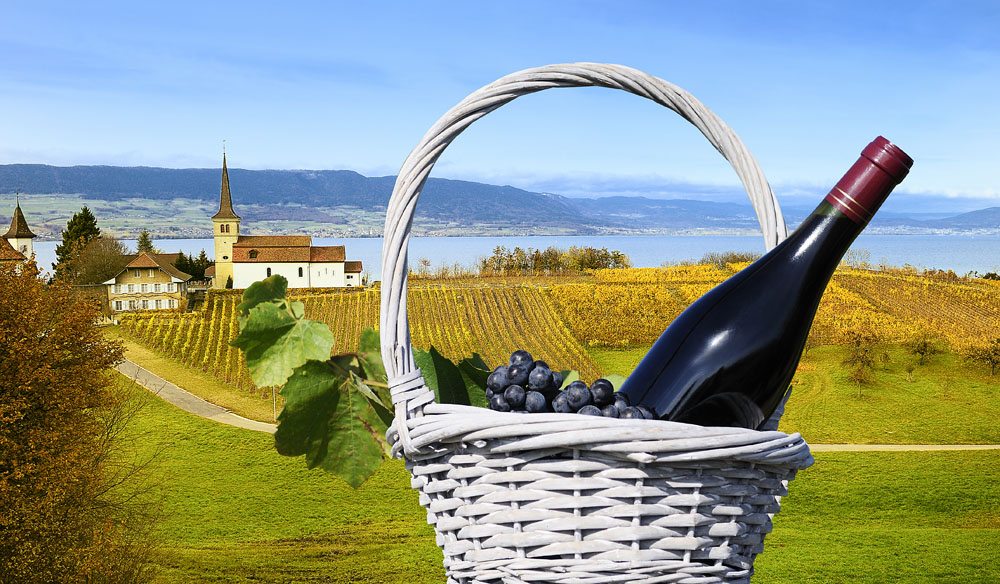 Neuchâtel Fête des Vendanges Voyages Girardot, l'Agence de tous vos