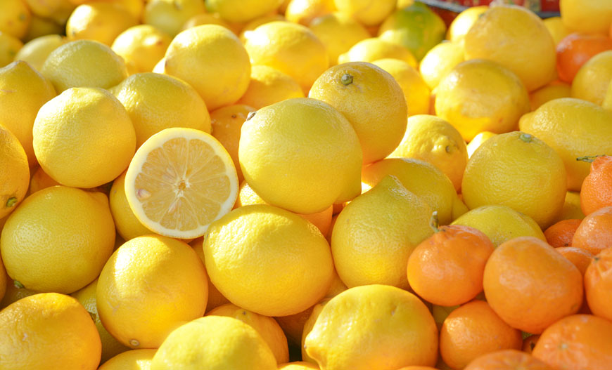 séjour fête des citrons et Carnaval de Nice - Voyages Girardot, l