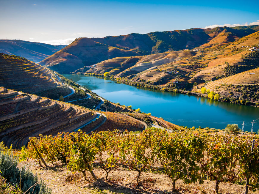 Vignobles du Douro © Shutterstock