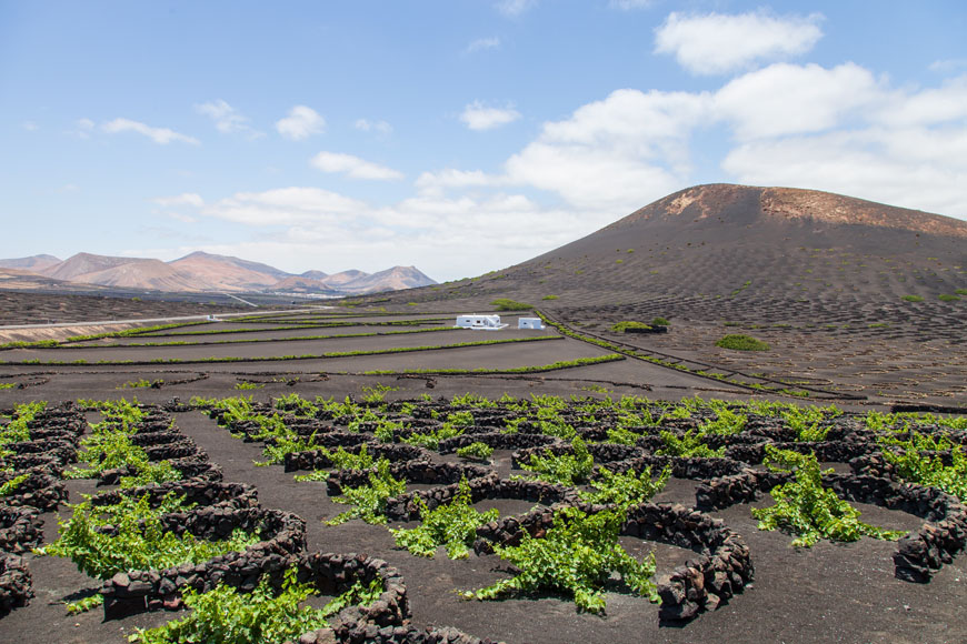 Lanzarote - Fuerteventura